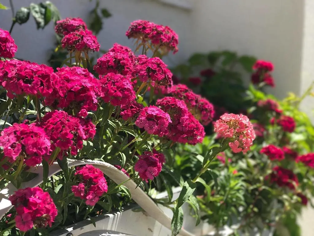 Sunny Bay Apartments Sarandë